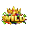 multi hot 5 super wilds wild symbol