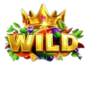 multi hot 5 wild wild symbol