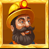nugget navigators wild symbol