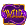 power of kitsune wild symbol