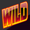 twin spin wild symbol