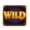 well of riches wild symbol