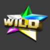 wild japan wild symbol