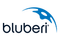 Bluberi Gaming Logo