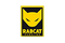 Rabcat Logo