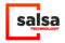 Salsa Technology Logo