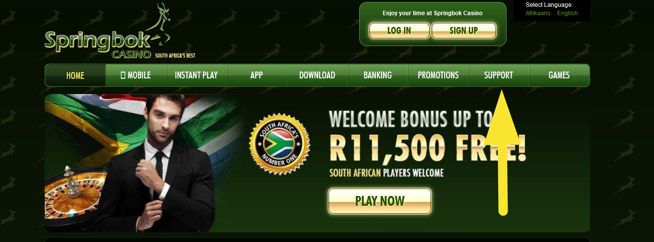 SPRINGBOK_CASINO_SUPPORT