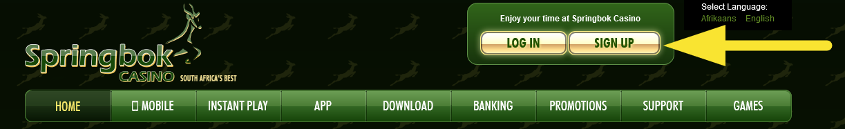 SPRINGBOK_CASINO_REGISTER