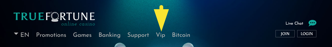 TRUE_FORTUNE_CASINO_VIP