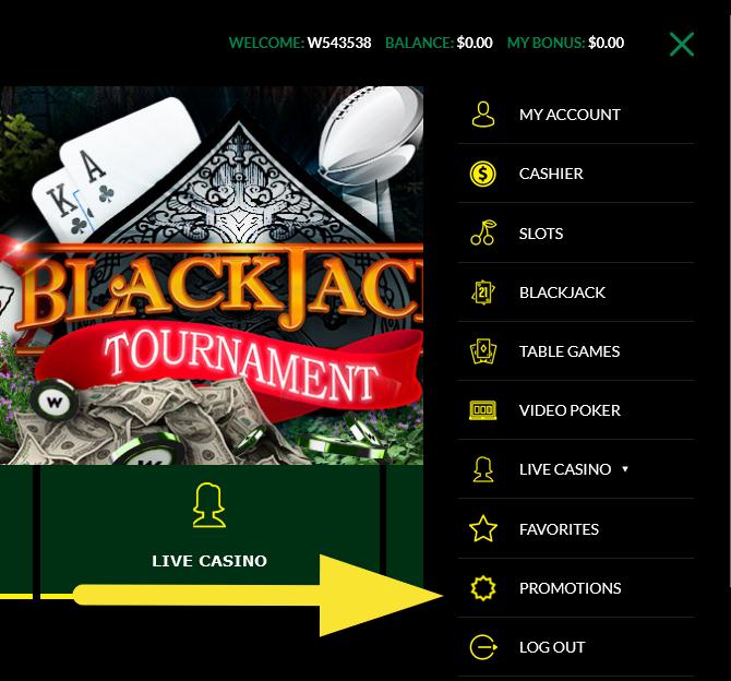 WILD_CASINO_BONUS